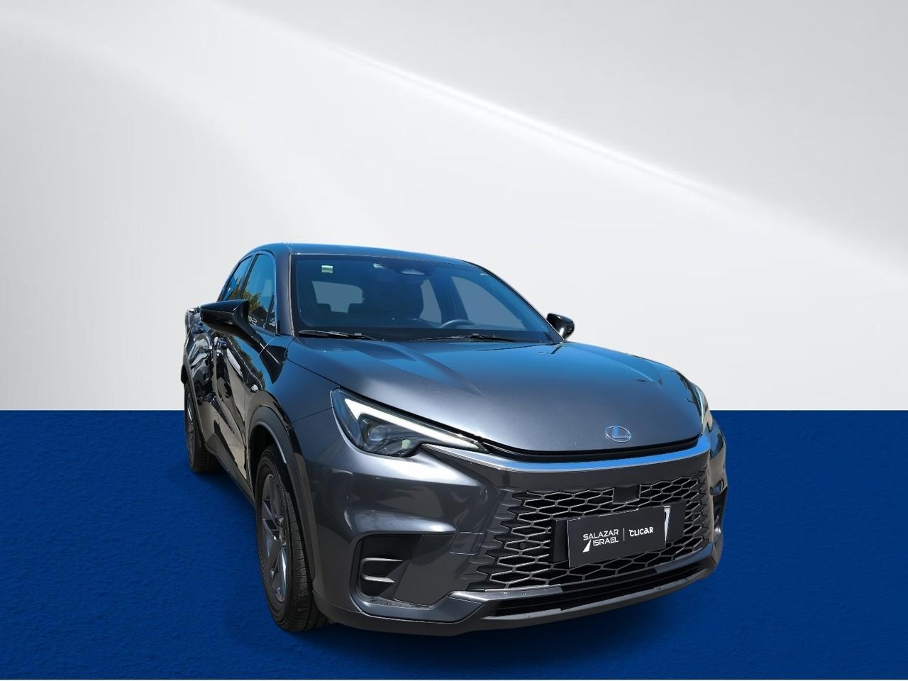 Station Wagon Lexus Lbx