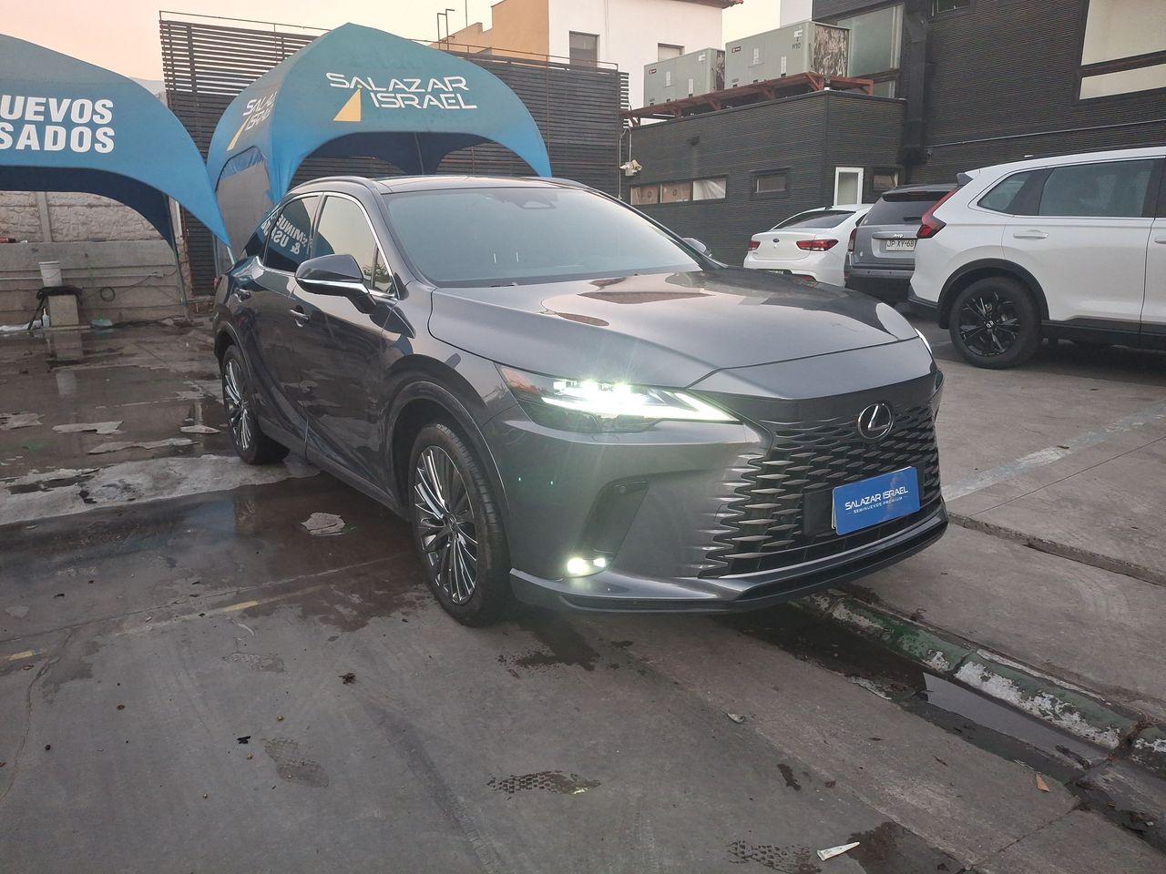 Station Wagon Lexus Rx