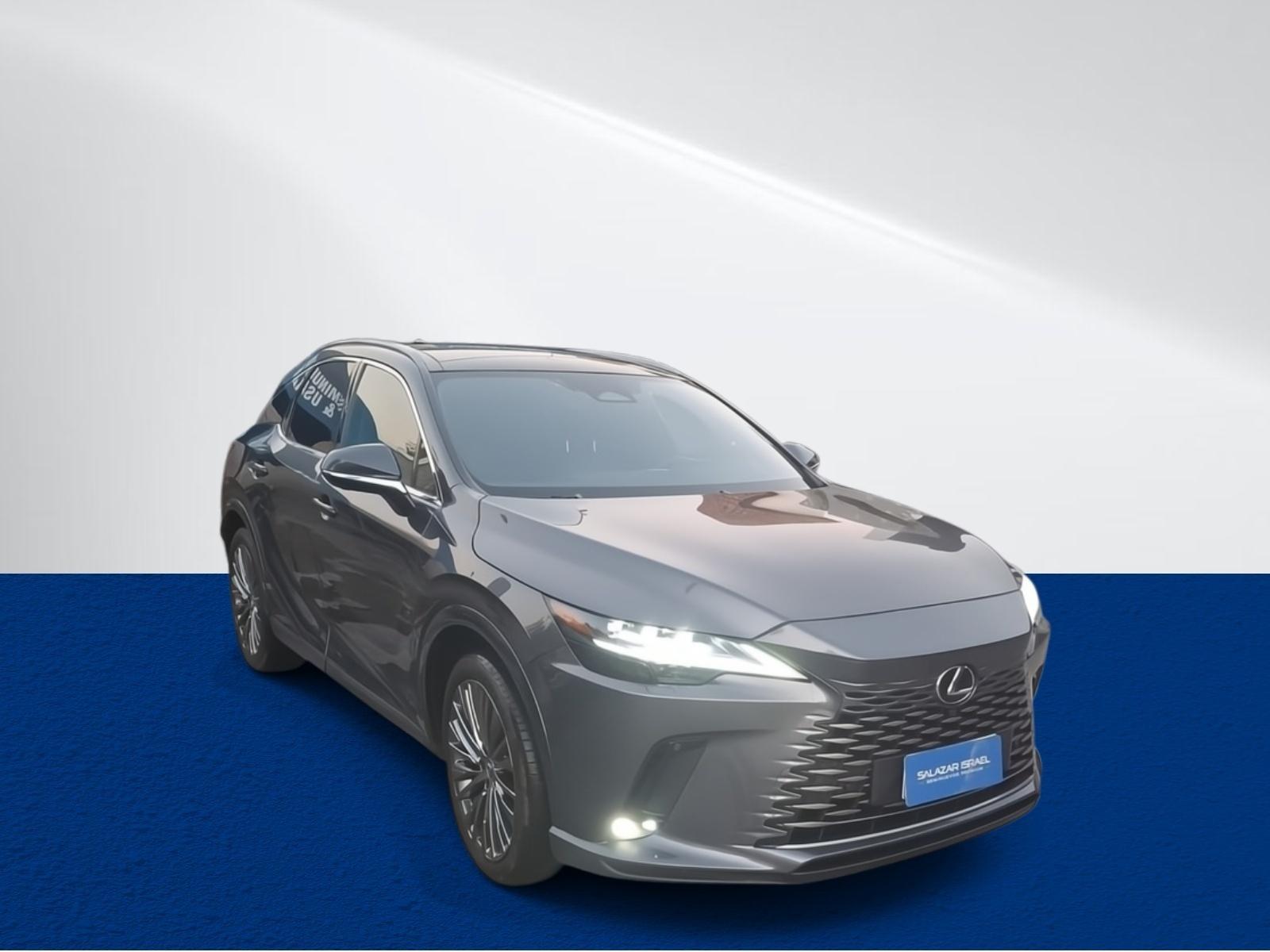 Station Wagon Lexus Rx