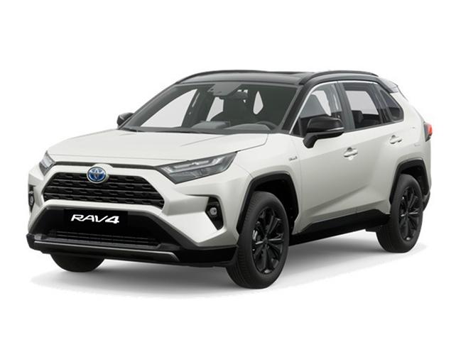 Hibridos Toyota Rav4 Hibrido